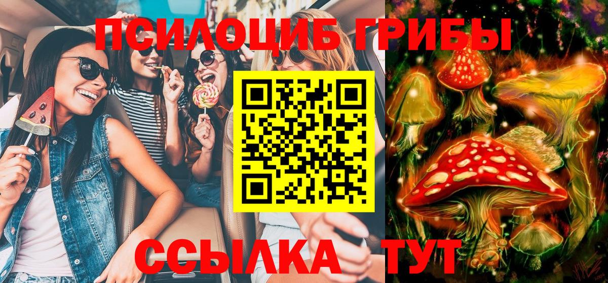 Псилоцибиновые грибы Psilocybe Нальчик